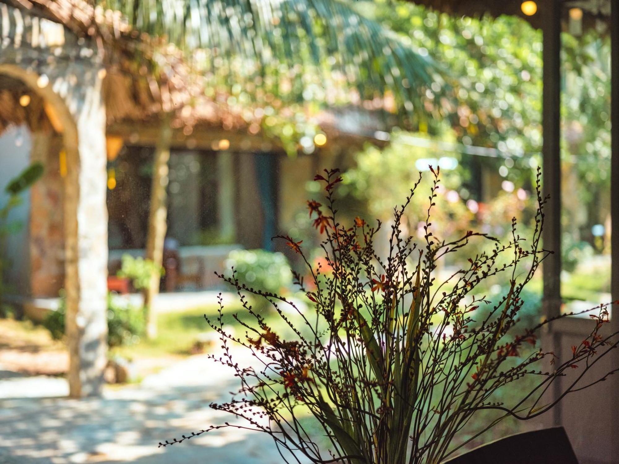 Cozy Beer Garden Homestay Ninh Binh